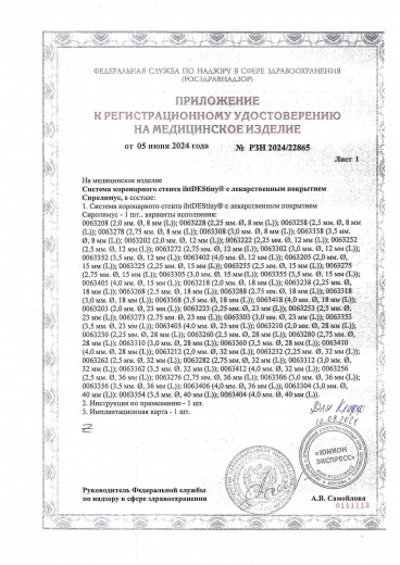 Пример регистрационного удостоверение на медизделия: система коронарного стента ihtdestiny